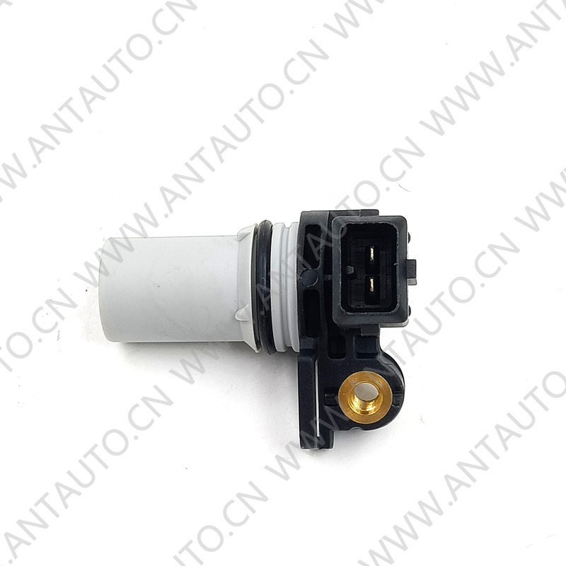 Cam/Crank Position Sensor