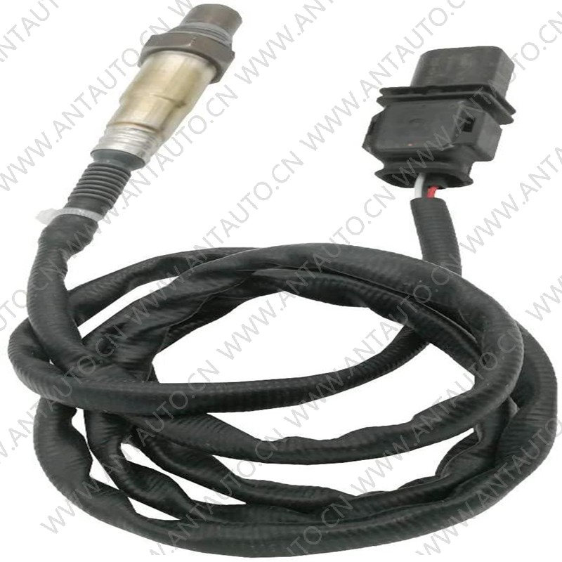 Oxygen sensor