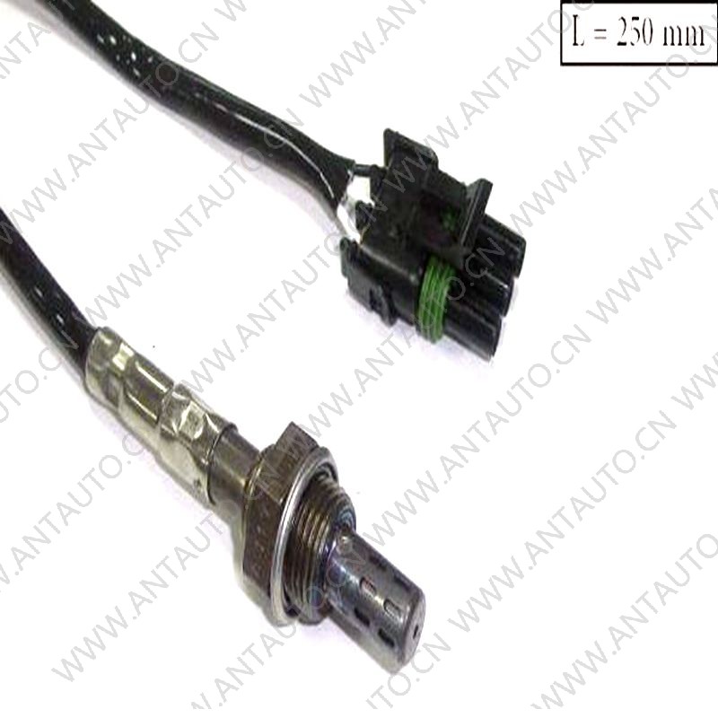 Oxygen sensor