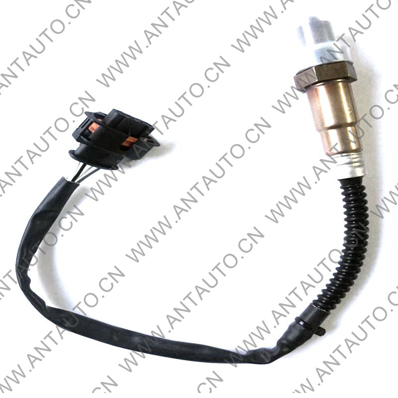 Oxygen sensor